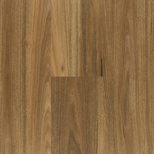 image of highland spotted gum